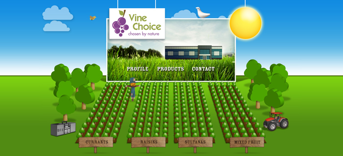 Vine Choice Web Design Slide 2