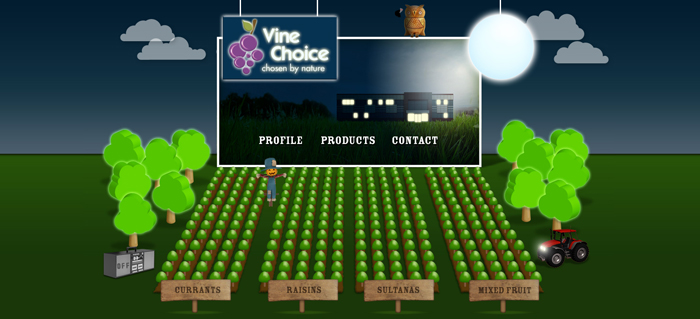 Vine Choice Web Design Slide 3